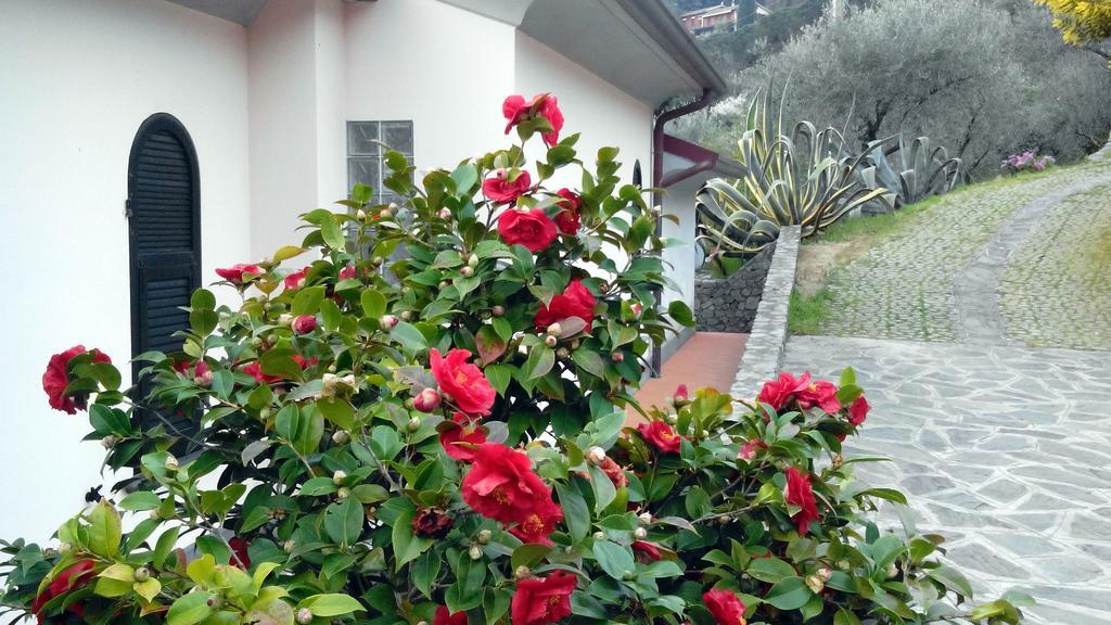 Villa Il Pettirosso La Spezia Quarto foto